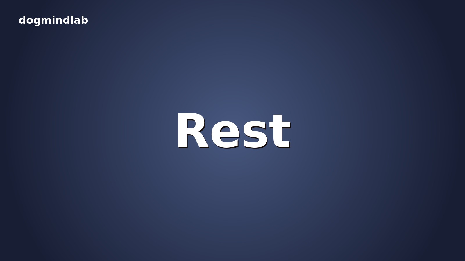 Post-vet rest protocol: owner logistics after the clinic