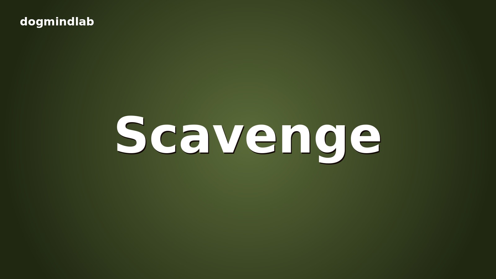 Scavenging on walks: management before the cue